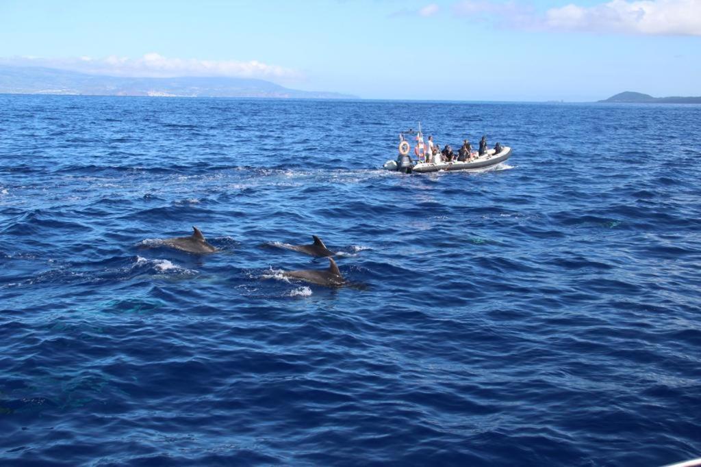 Cantinho Dos Cagarros Lajes do Pico Zewnętrze zdjęcie