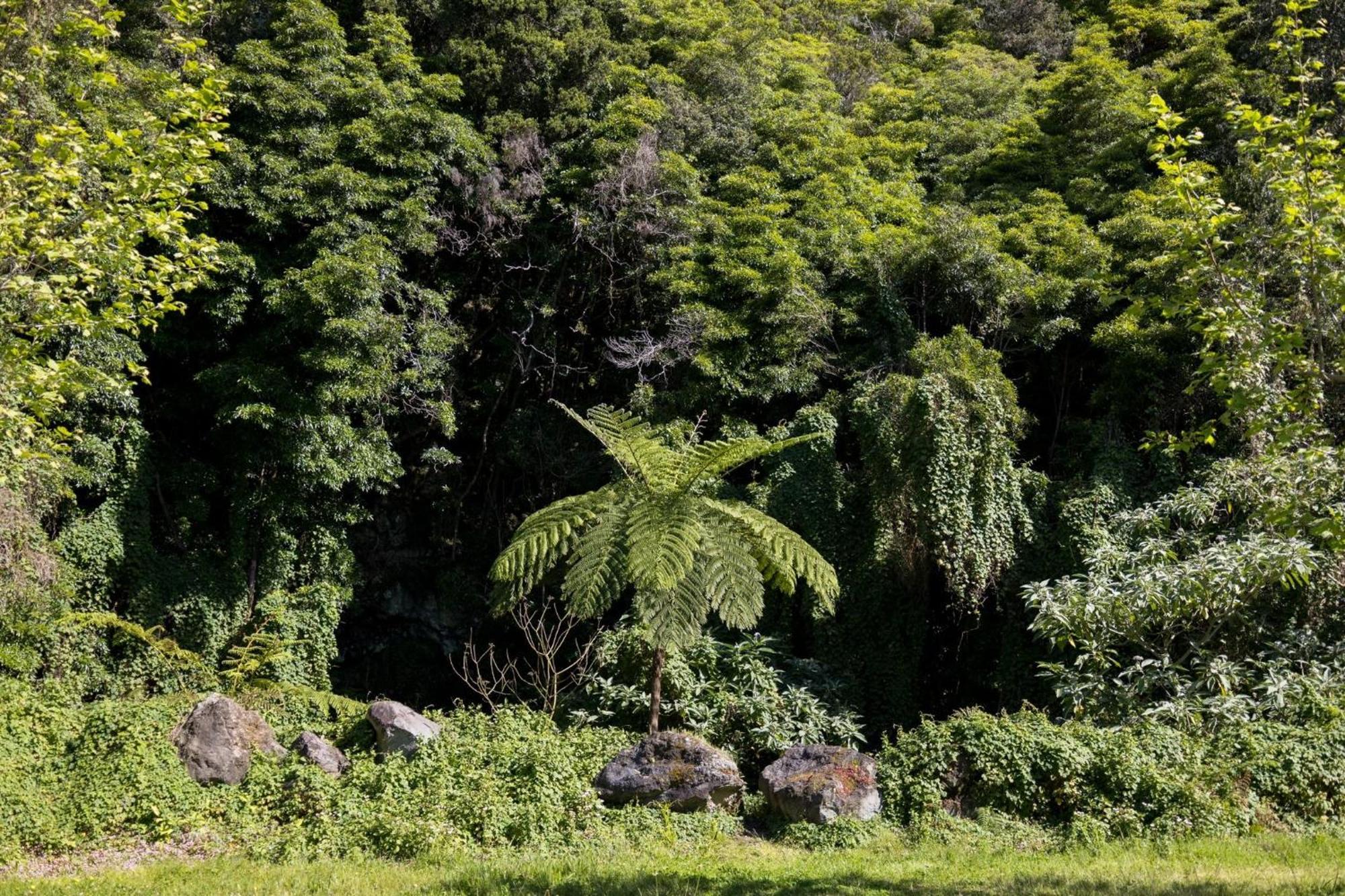 Cantinho Dos Cagarros Lajes do Pico Zewnętrze zdjęcie